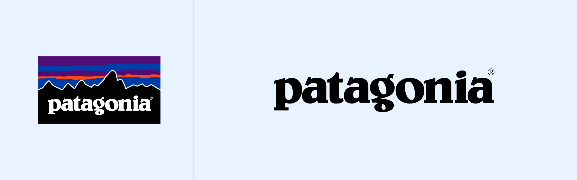 Patagonia logo on a light blue background, highlighting its bold and recognizable typography